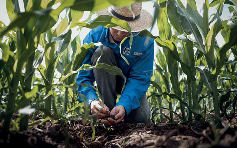 FertilizerFocus_Evolution
